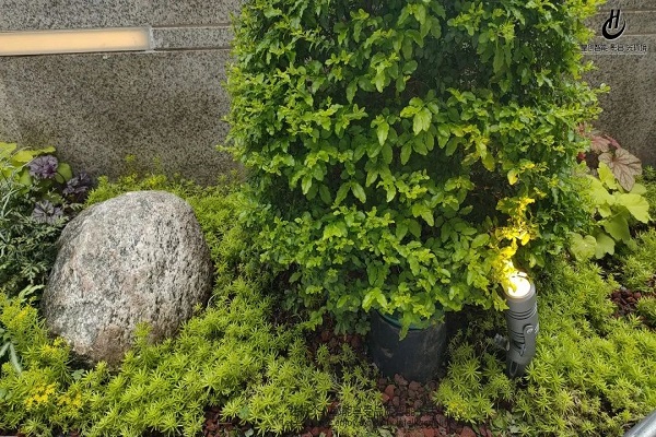 【珊瑚水岸】臨江復式小樓,打造專屬智能美宅 【珊瑚水岸】臨江復式小樓,打造專屬智能美宅